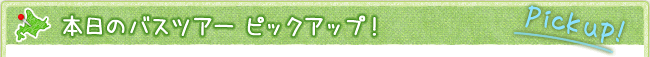 注目のバスツアー　ピックアップ！