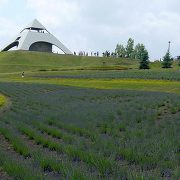 美瑛 北西の丘 美瑛 北西の丘