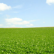 美瑛の丘と空 美瑛の丘と空