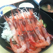 羽幌おろろん食堂の甘えび丼 羽幌おろろん食堂の甘えび丼