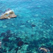 シャコタンブルーの海