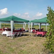 昨年のみたむら農園での「畑でレストラン」の様子 昨年のみたむら農園での「畑でレストラン」の様子