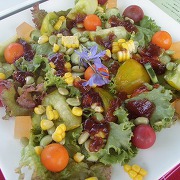 昨年のみたむら農園での「畑でレストラン」の一品「いろいろトマトの宝石サラダ」