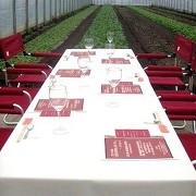 余湖農園さんで開かれた今年第一回目の「畑でBBQレストラン」の様子 余湖農園さんで開かれた今年第一回目の「畑でBBQレストラン」の様子