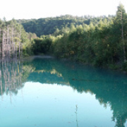 美瑛の新名所「青い池」 美瑛の新名所「青い池」