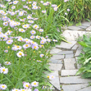 上野ファーム 上野ファーム