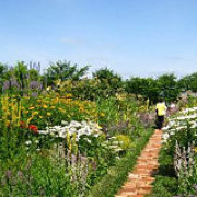 上野ファーム 上野ファーム