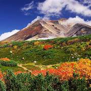 紅葉の旭岳