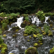京極町のふきだし公園