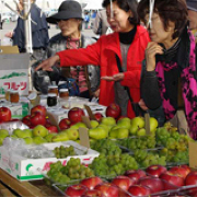 増毛町秋味まつりの様子