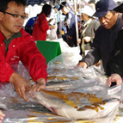 増毛町秋味まつりの様子