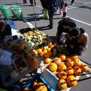 ニセコフェスティバルで振る舞われる特産品の数々