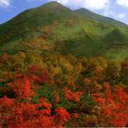 ニセコアンヌプリの紅葉