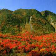 ニセコイワオヌプリの紅葉