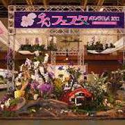 赤平らんフェスタ会場 赤平らんフェスタ会場