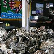 寿都の新鮮な牡蠣を鉄板蒸し焼きで! 寿都の新鮮な牡蠣を鉄板蒸し焼きで!