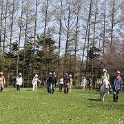 春の風を感じながらおよそ6キロメートルのフットパスを散策