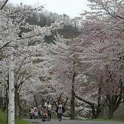 美唄の東明公園