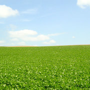 美瑛の丘と空の風景