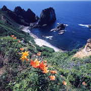 積丹半島の島武意海岸（写真提供：積丹観光協会）