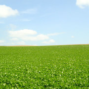 美瑛の丘と空の風景
