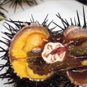 積丹半島のウニ