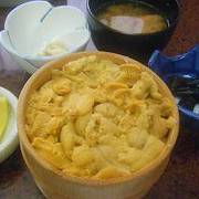 積丹のウニ丼