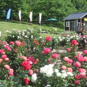 ローズガーデンちっぷべつ ローズガーデンちっぷべつ