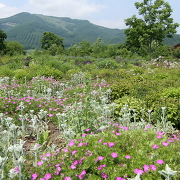 十勝千年の森 十勝千年の森