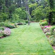 イコロの森 イコロの森