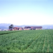 後藤純男美術館