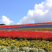 かんのファーム