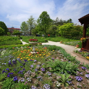 紫竹ガーデン(イメージ) 紫竹ガーデン(イメージ)