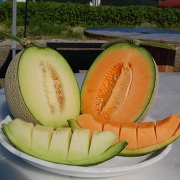 富良野メロンを食べ放題で! 富良野メロンを食べ放題で!