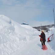 豪雪地イメージ（撮影者：小西信義(北海道大学大学院文学研究科)）