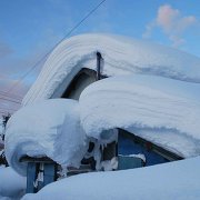 豪雪地イメージ(撮影者:小西信義(北海道大学大学院文学研究科)) 豪雪地イメージ(撮影者:小西信義(北海道大学大学院文学研究科))