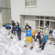 倶知安 雪はねの様子