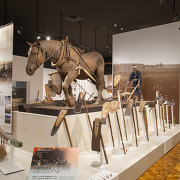 北海道博物館 北海道博物館
