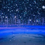 冬の青い池のライトアップ 冬の青い池のライトアップ