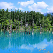 夏の青い池