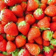 いちご狩り(イメージ) いちご狩り(イメージ)