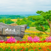 ぜるぶの丘 ぜるぶの丘