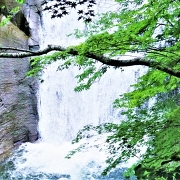 白扇の滝 白扇の滝