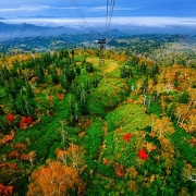 旭岳ロープウェイからの景色 旭岳ロープウェイからの景色