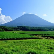 夏の羊蹄山