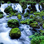 京極の湧き水