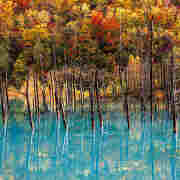 秋の青い池 秋の青い池