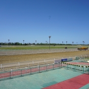 門別競馬場の風景