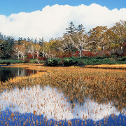 秋の神仙沼 秋の神仙沼