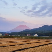 蘭越の田園風景から望む羊蹄山